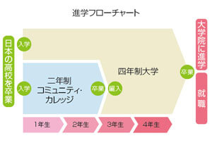 ２＋２進学フローチャート