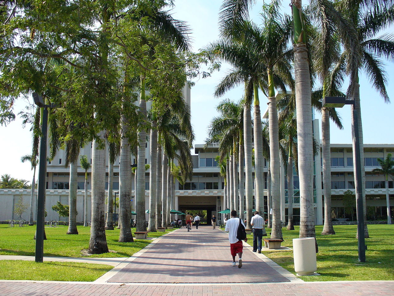 マイアミ大学 マイアミ大学