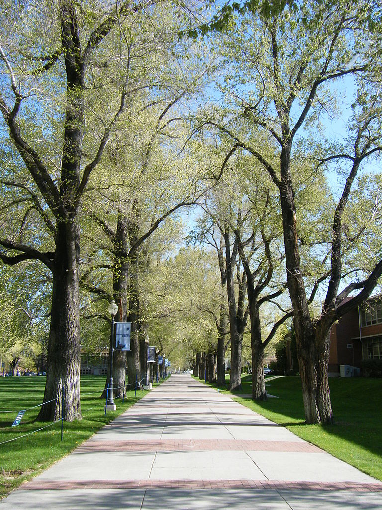 ネバダ大学リノ校