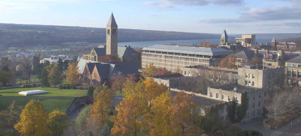 コーネル大学 コーネル大学