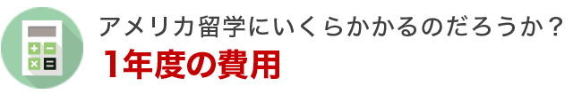 １年度の費用