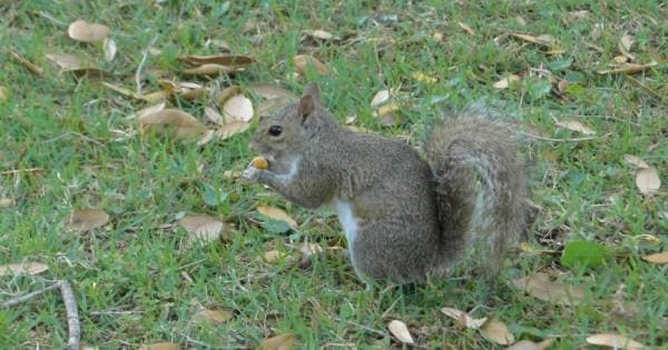 私を大切にしてくれるアメリカの大学を探してイメージ