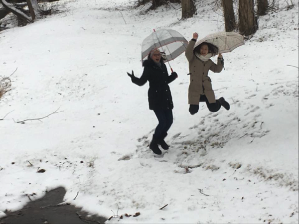 雪が降ったある日