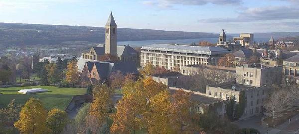 コーネル大学