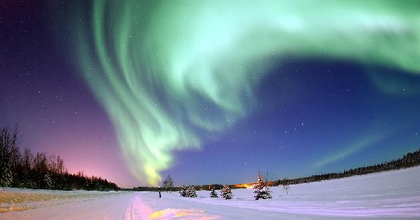 アラスカ州とその大学の魅力イメージ